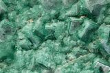Green, Fluorescent, Cubic Fluorite Crystals - Madagascar #238390-3